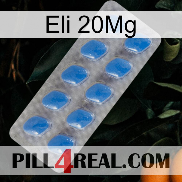 Eli 20Mg 22.jpg